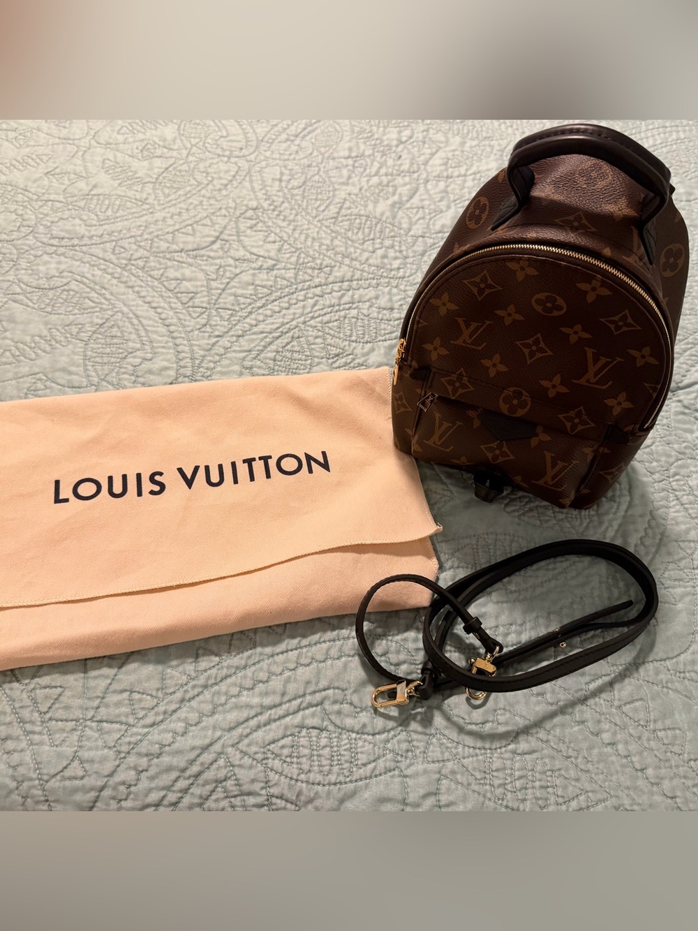 Louis Vuitton Palm Spring Mini Backpack with Gold Hardware